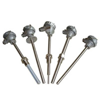 WRP-100微型铂铑热电偶